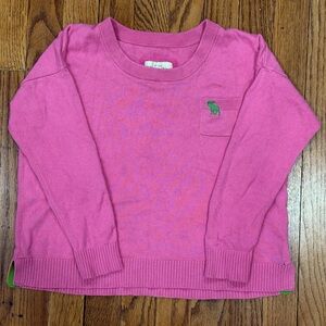 Abercrombie & Fitch Pink Crewneck Sweater Women’s XS Moose Logo Y2K